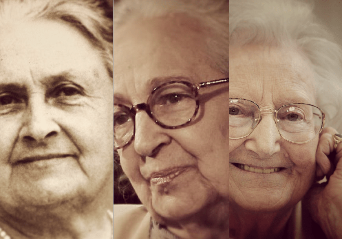 captura-de-tela-2016-12-02-as-20-42-33