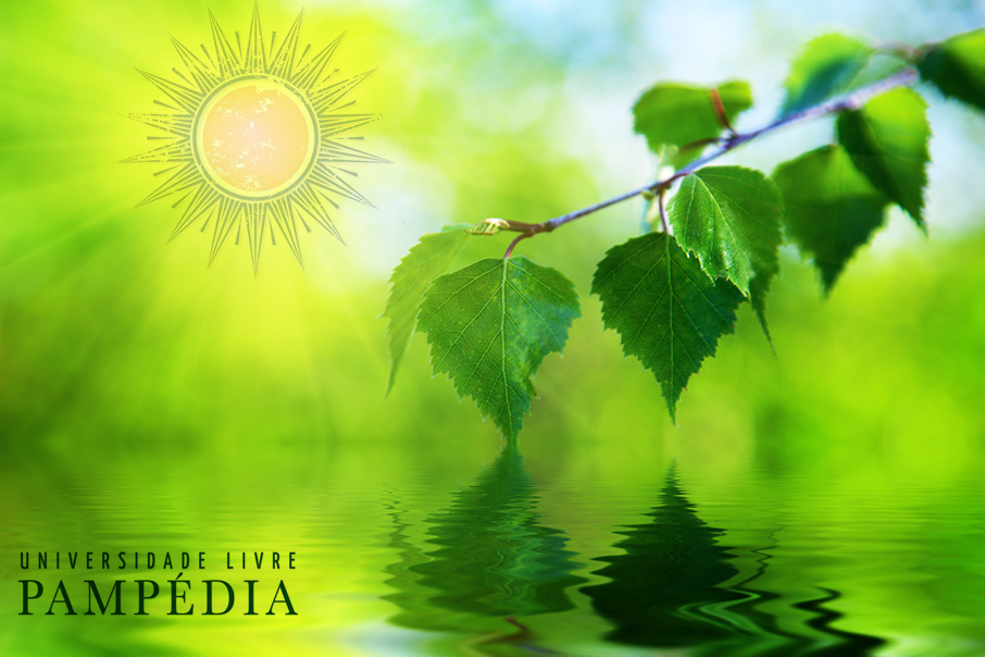 leaves of birch and water