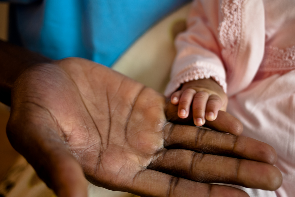 4450667159_b80cab7634_b